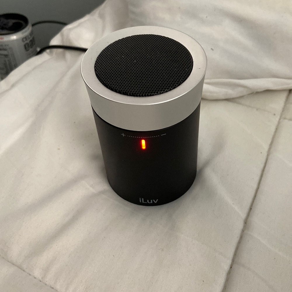 iLuv speaker off brand of Alexa